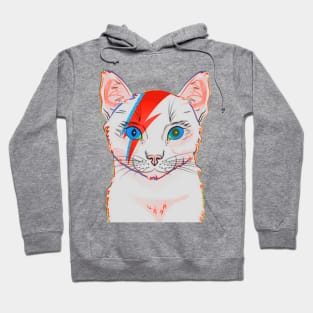 kittenlight Hoodie